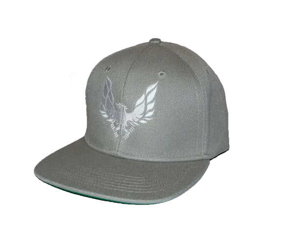 grey snap back cap